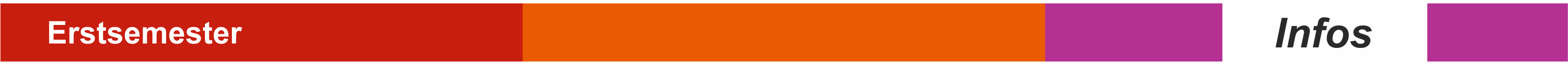 Logo Erstsemester Infos